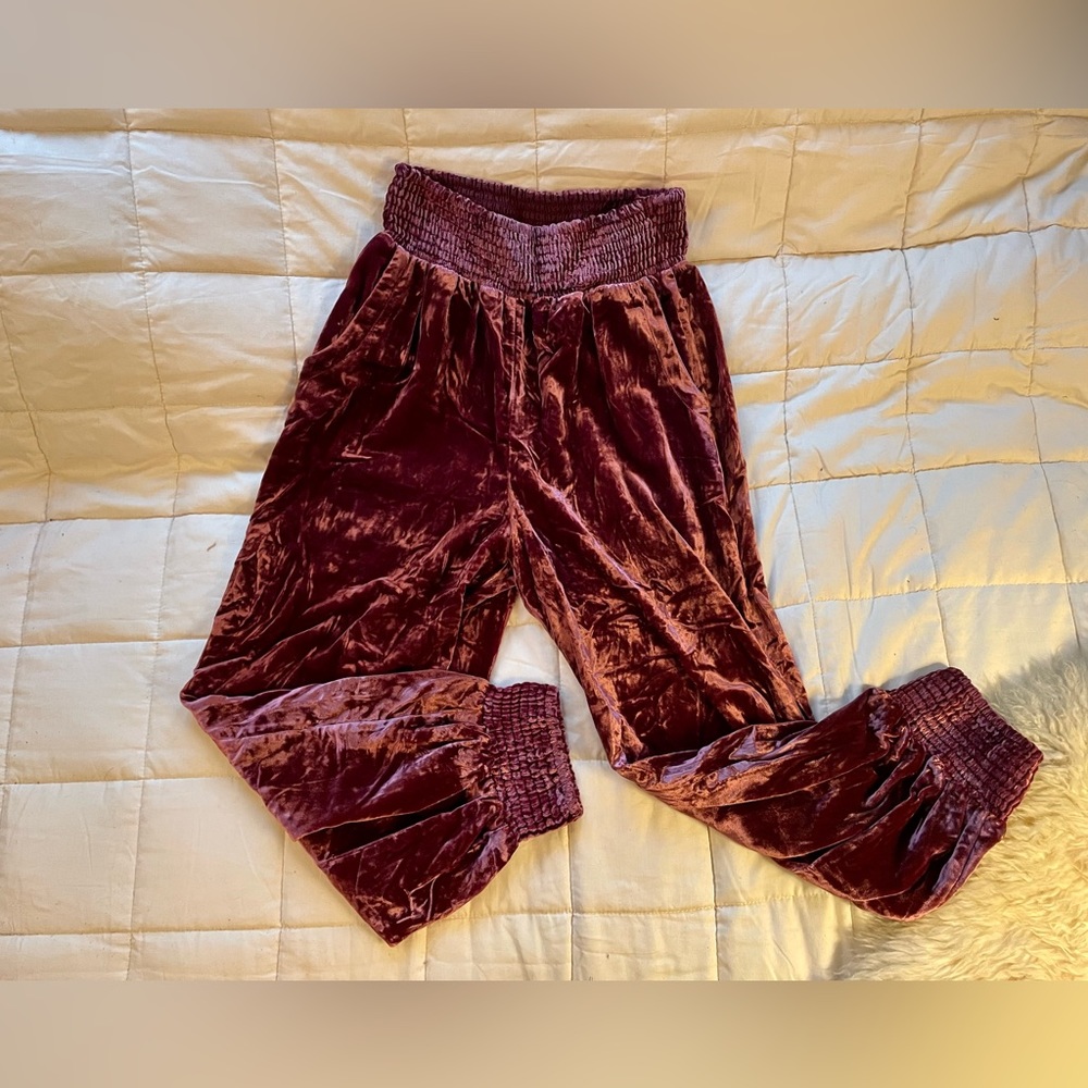 Anthropologie Plum Velour Joggers